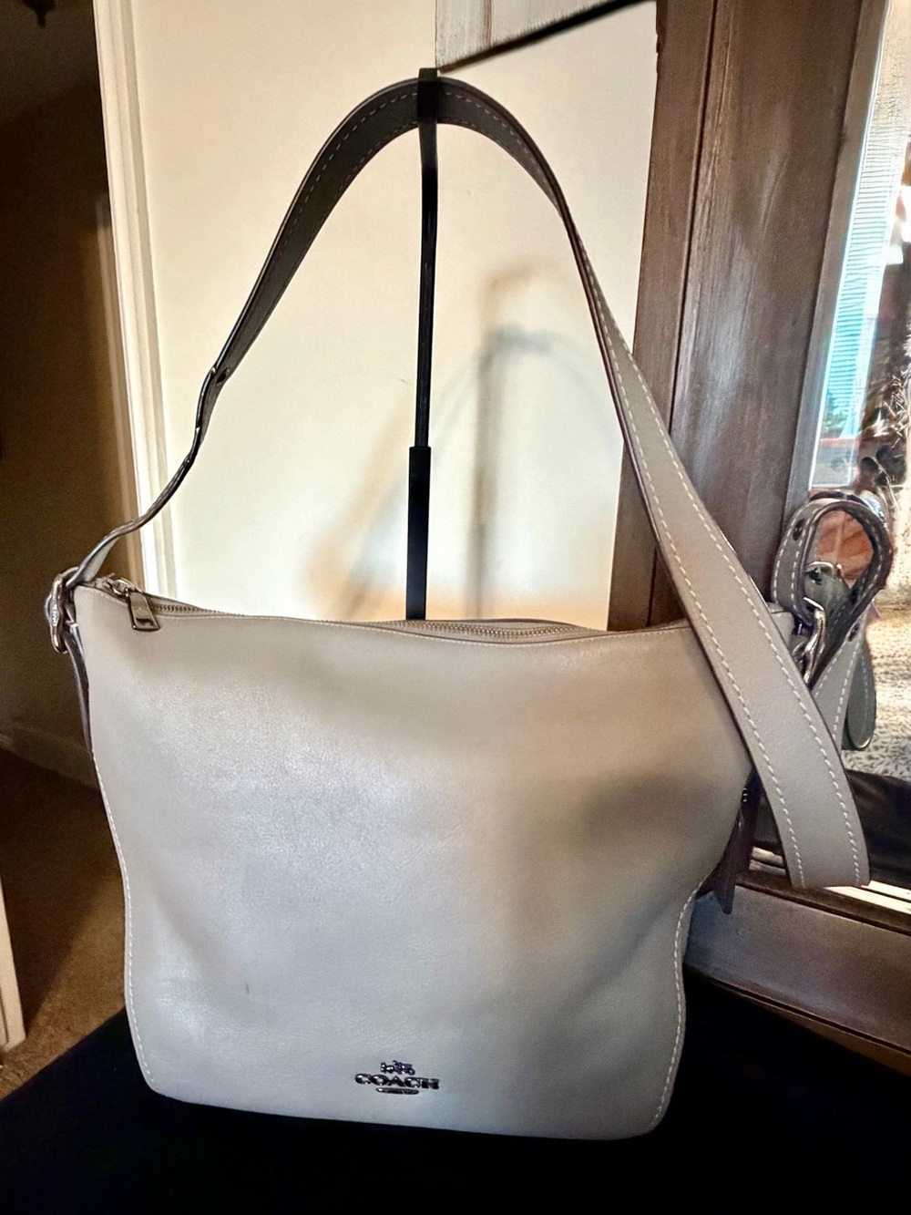 Coach Leather Shoulder Bag in Taupe